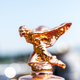 Illustration for article titled Bask In The Glorious Tiny Details Of The Cars At The Pebble Beach Concours dElegance
